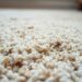 professional carpet cleaning